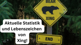 Xing versus LinkedIn bei der Kontaktpflege